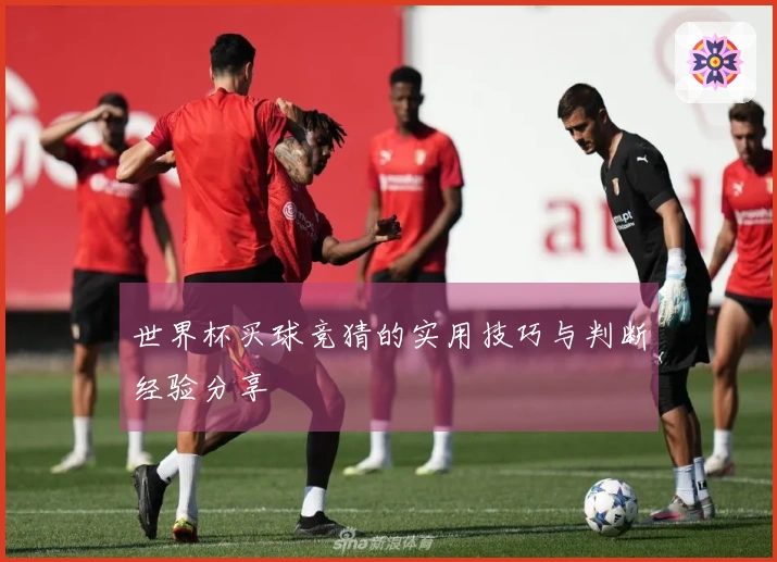 世界杯买球竞猜的实用技巧与判断经验分享
