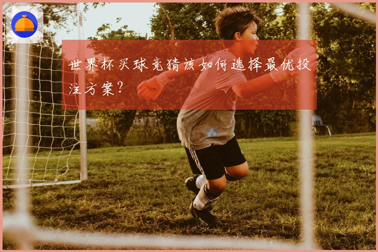 世界杯买球竞猜该如何选择最优投注方案？