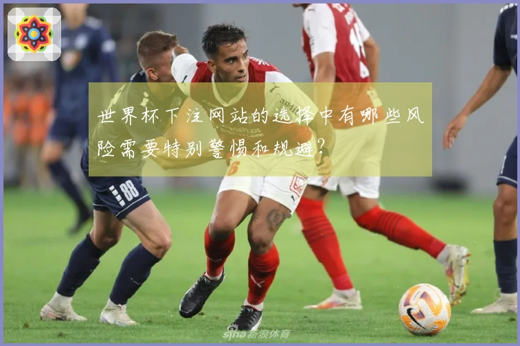 世界杯下注网站的选择中有哪些风险需要特别警惕和规避？