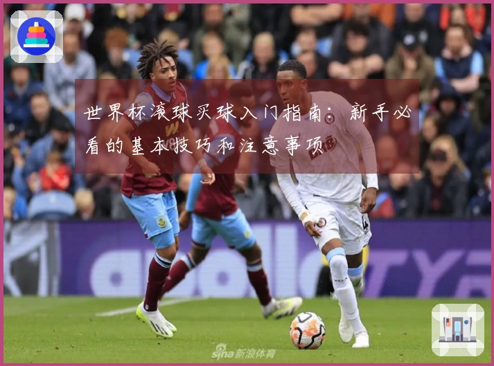 世界杯滚球买球入门指南：新手必看的基本技巧和注意事项