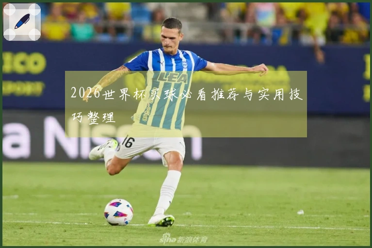 2026世界杯买球必看推荐与实用技巧整理