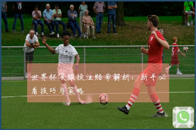 世界杯滚球投注赔率解析，新手必看技巧与策略