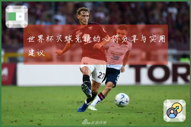 世界杯买球竞猜的心得分享与实用建议