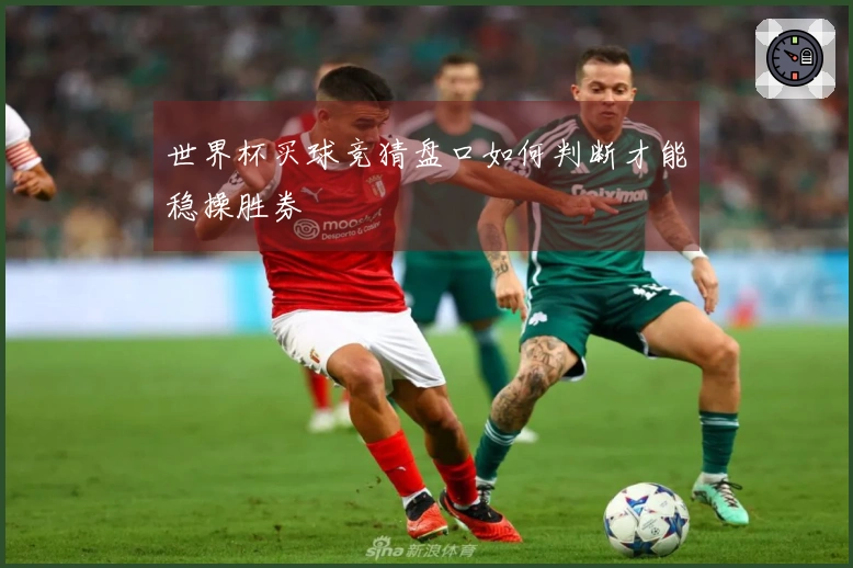 世界杯买球竞猜盘口如何判断才能稳操胜券