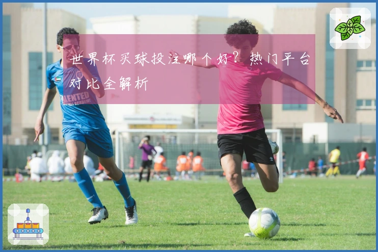 世界杯买球投注哪个好？热门平台对比全解析