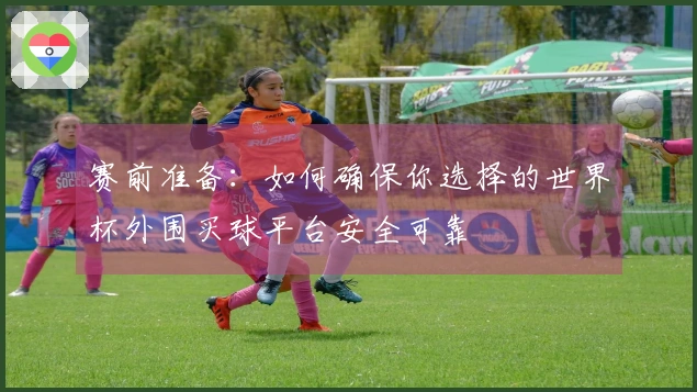 赛前准备：如何确保你选择的世界杯外围买球平台安全可靠