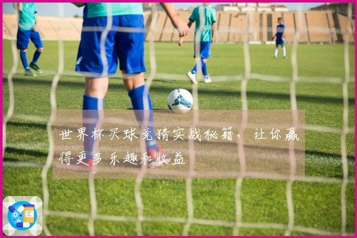 世界杯买球竞猜实战秘籍，让你赢得更多乐趣和收益