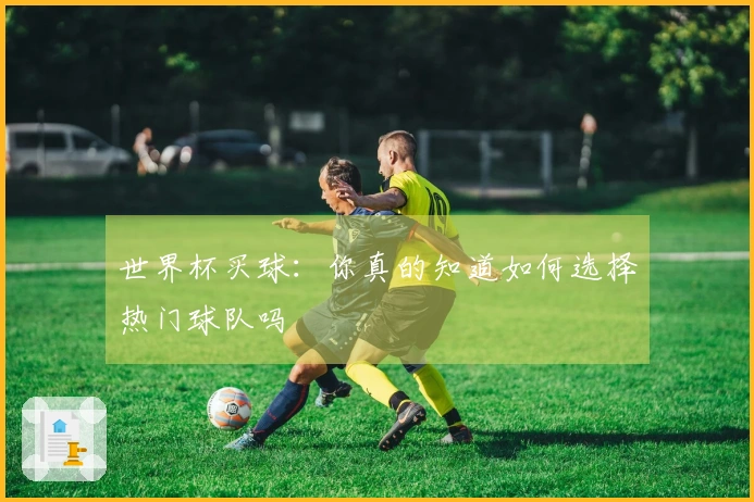 世界杯买球：你真的知道如何选择热门球队吗