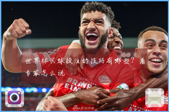 世界杯买球投注的技巧有哪些？看专家怎么说