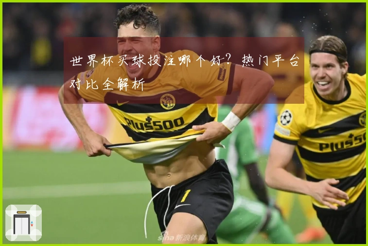 世界杯买球投注哪个好？热门平台对比全解析