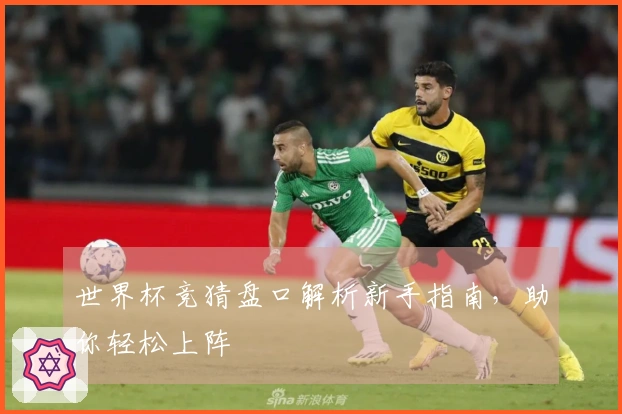 世界杯竞猜盘口解析新手指南，助你轻松上阵