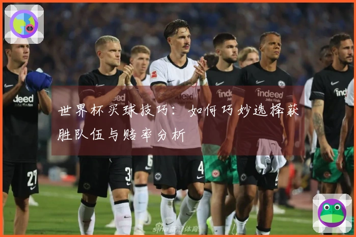 世界杯买球技巧：如何巧妙选择获胜队伍与赔率分析