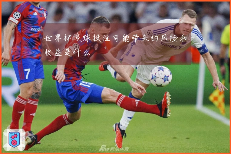 世界杯滚球投注可能带来的风险和收益是什么