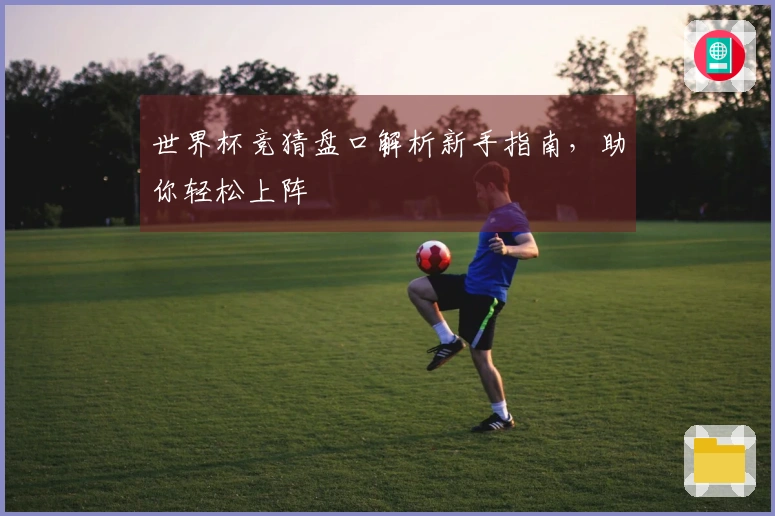 世界杯竞猜盘口解析新手指南，助你轻松上阵