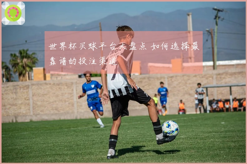 世界杯买球平台大盘点 如何选择最靠谱的投注渠道