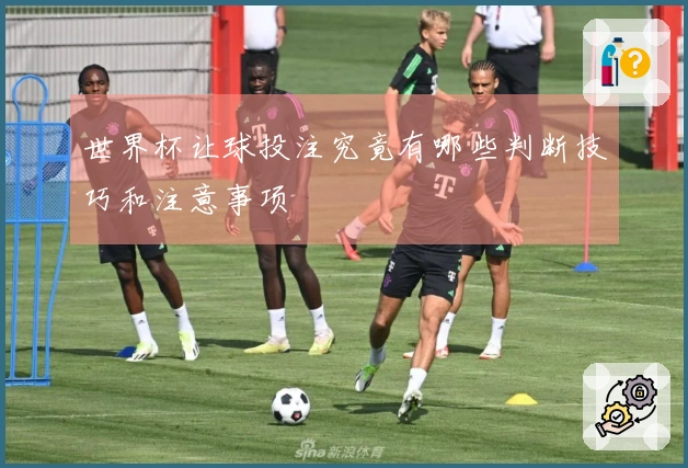 世界杯让球投注究竟有哪些判断技巧和注意事项
