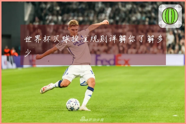 世界杯买球投注规则详解你了解多少